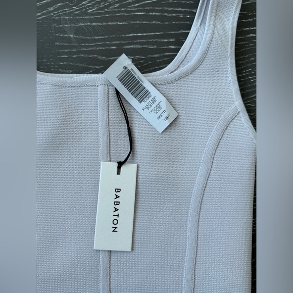 Aritzia Babaton Sculp knit dress - Picture 2 of 2